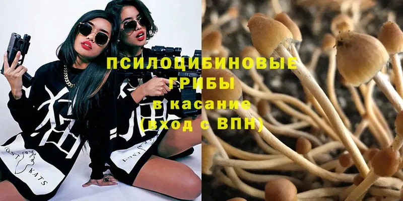 Галлюциногенные грибы Magic Shrooms  купить наркоту  Болхов 